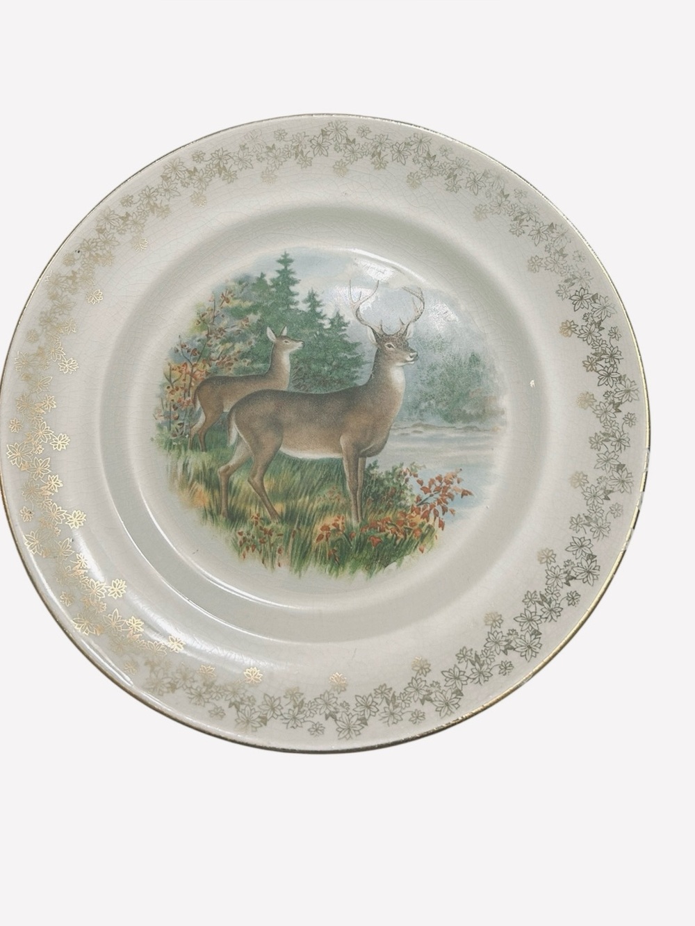 vintage Avon antique decorative collector's diner plates